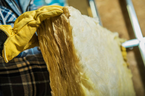 Best Attic Insulation Installation  in Gloverville, SC