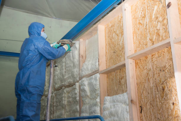 Best Insulation Inspection Services  in Gloverville, SC