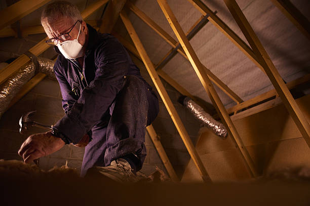 Best Energy-efficient Insulation  in Gloverville, SC